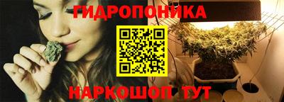 сатива Беслан