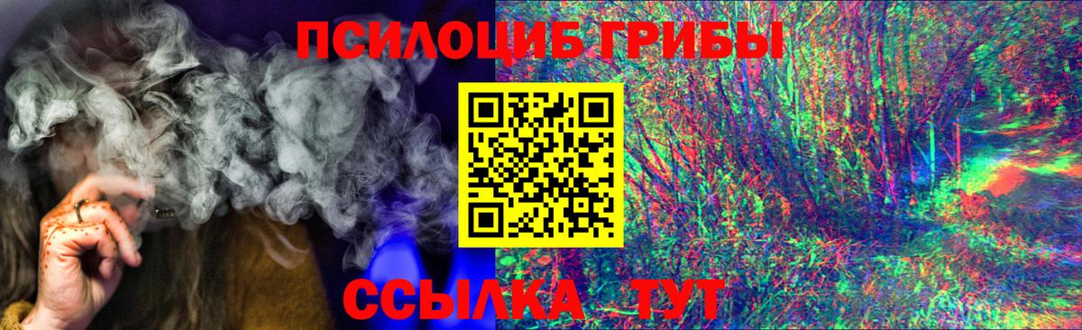 Псилоцибиновые грибы прущие грибы  Вход с VPN  Псилоцибиновые грибы MAGIC MUSHROOMS  Кольчугино 